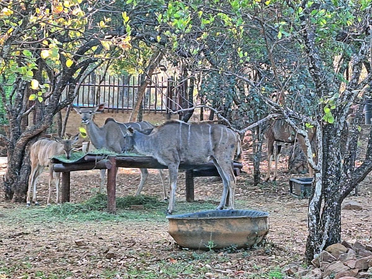 Loskop Serene Bush Cabin Winterkamp Buitenkant foto