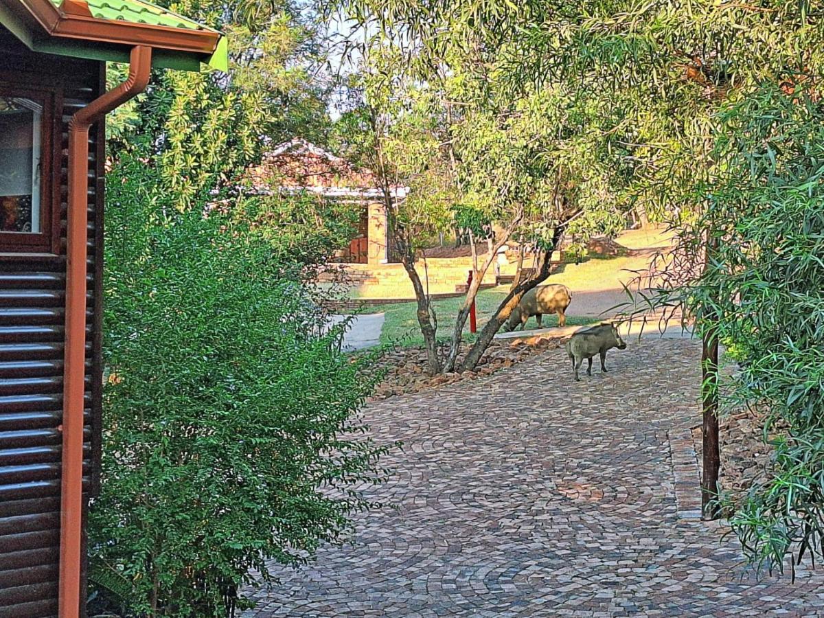 Loskop Serene Bush Cabin Winterkamp Buitenkant foto